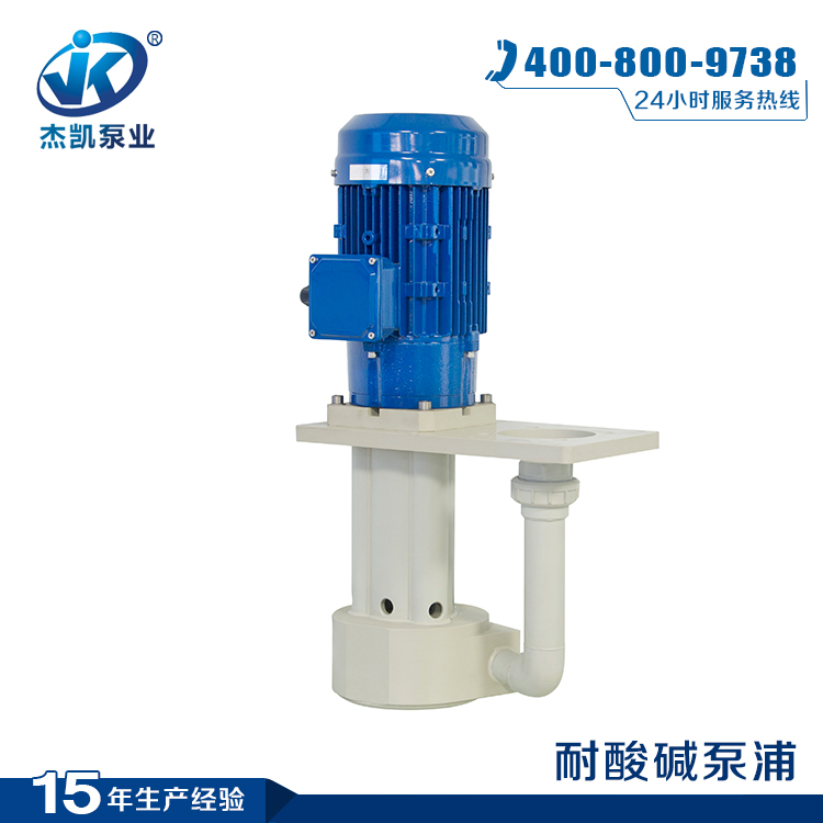 直立式耐酸堿泵產(chǎn)品圖